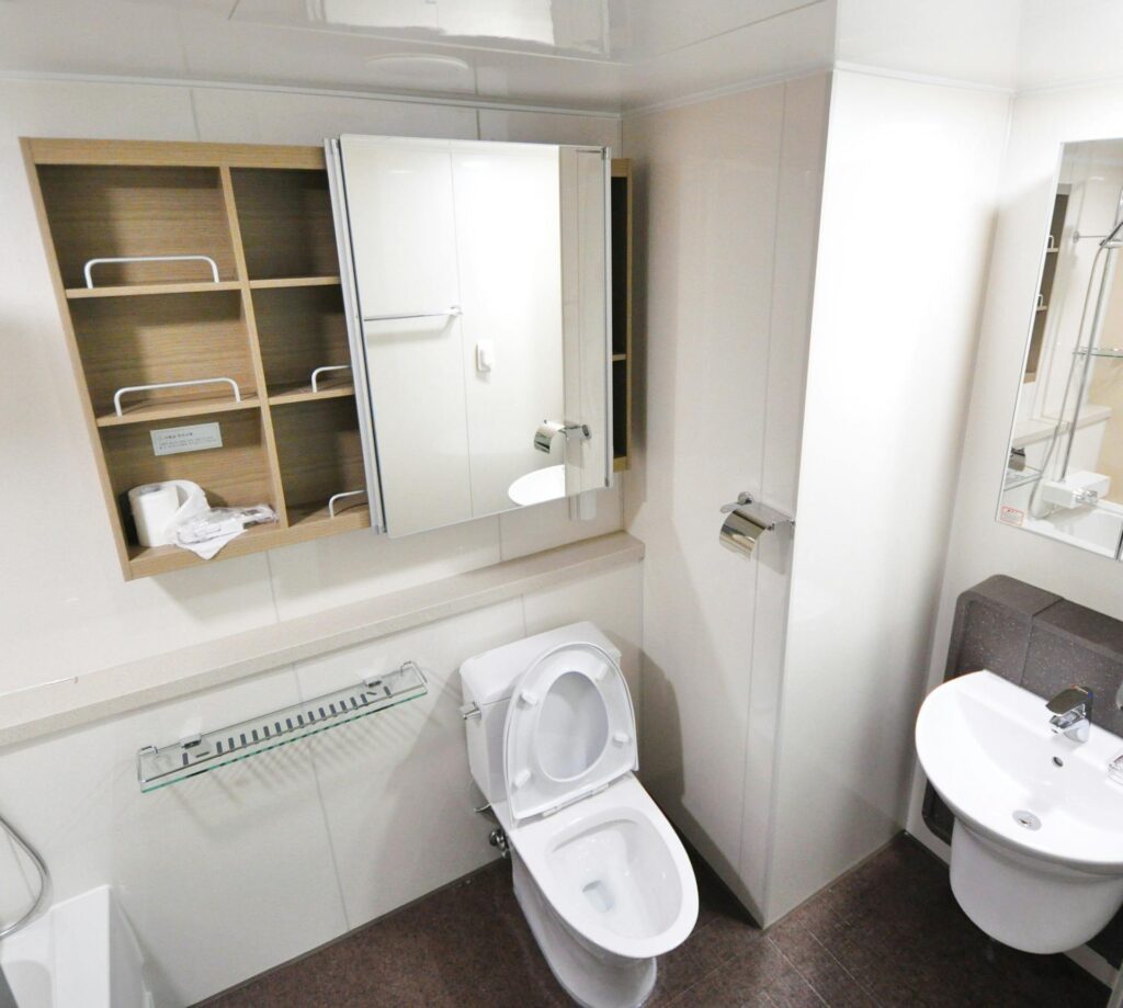 Unclog a toilet